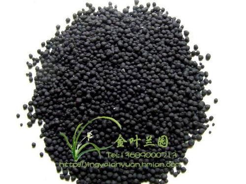 蟲茬克 活菌土壤調理劑的綠色力量