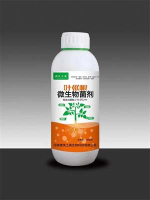 貝母黃葉死苗立枯枯萎病的防治策略 生物菌劑的科學(xué)應(yīng)用